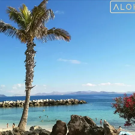 Bungalow At Playa Flamingo Apartment With Shared Pool 5 Minutes From The Beach * Playa Blanca (Lanzarote)